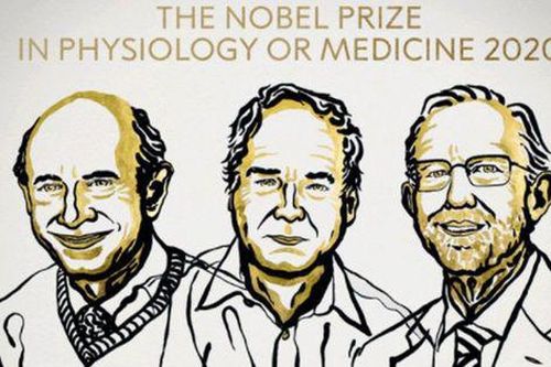 Nghiên cứu về virus viêm gan C giành Nobel Y học 2020