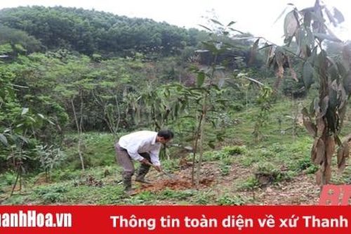Bảo tồn và phát triển các loại cây trồng có nguồn gốc bản địa