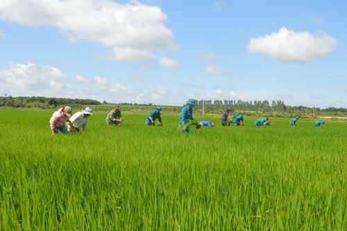 Lực lượng vũ trang Gia Lai 'Điểm tựa' của người dân