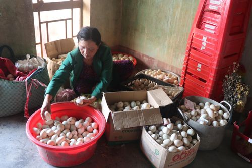 Cửu An xây dựng đời sống văn hóa gắn với nông thôn mới