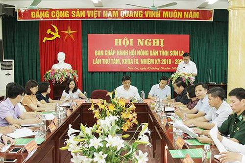 Đồng chí Lường Trung Hiếu được bầu giữ chức Chủ tịch Hội Nông dân tỉnh