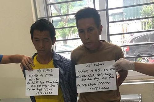 Khởi tố vụ vận chuyển trái phép 15 bánh heroin từ Điện Biên về Hà Nội