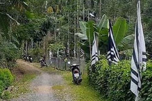 Xóm trưởng bị ong đốt chết khi bắt ong trong vườn