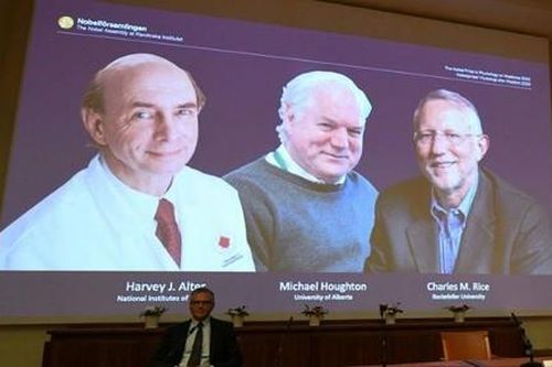 Nobel Y sinh trao cho bộ ba nhà khoa học tìm ra virus viêm gan C