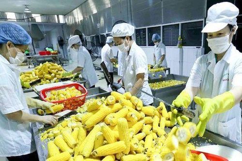 9 tháng năm 2020, ngành nông nghiệp xuất siêu 7,2 tỷ USD