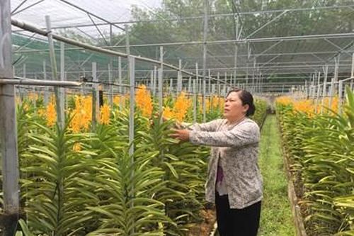 Nông thôn mới gắn với nông nghiệp công nghệ cao