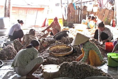 Dịch Covid-19 có thể tước đi cơ hội của 1,8 triệu người lao động