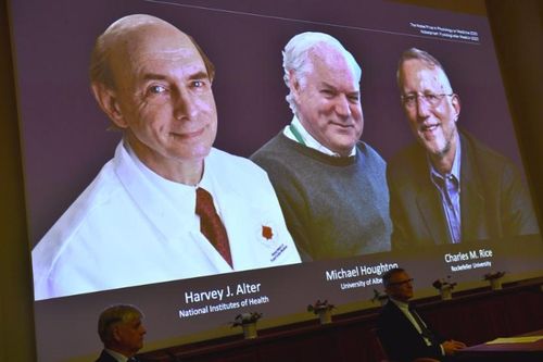 Nobel Y học 2020: Vinh danh bộ ba tìm ra virus viêm gan C