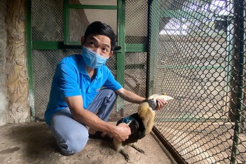 Những chuyện cảm động ở Thảo Cầm Viên
