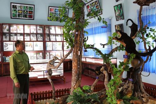 Bảo tồn giá trị đa dạng sinh học ở Khu Bảo tồn Kon Chư Răng