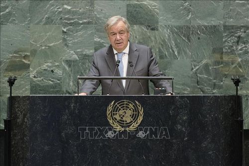 Liên hợp quốc kêu gọi chung tay giải quyết cuộc khủng hoàng Libya