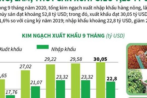 9 tháng năm 2020: Nông, lâm, thủy sản xuất siêu 7,25 tỷ USD