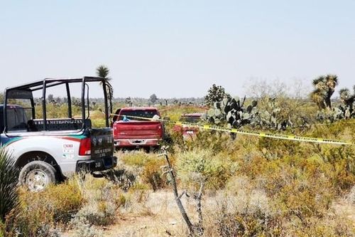Mexico: Phát hiện 12 thi thể trong 2 xe ôtô