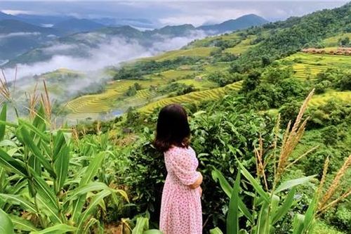 Hành trình hành xác đến thiên đường hạ giới ở Hoàng Su Phì