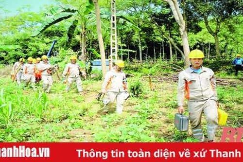 Công ty Điện lực Thanh Hóa chủ động ứng phó trong mùa mưa bão