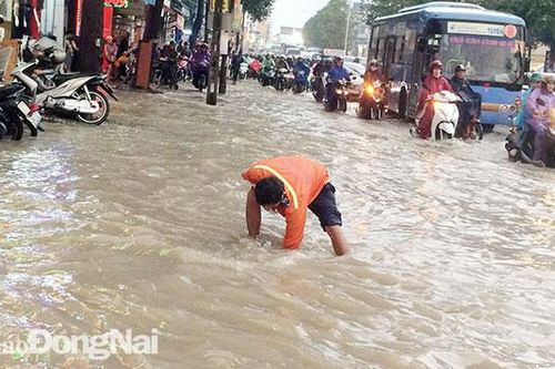 Chống ngập cho khu vực ngã ba Trảng Dài
