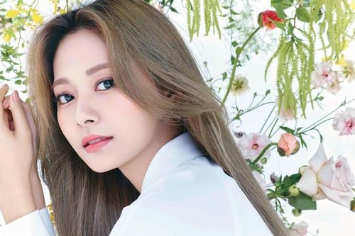 Tzuyu gọi TWICE là 'con heo' đã bất ngờ nhưng vẫn không sốc bằng phản ứng của netizen