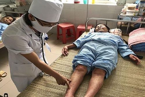 Bắc Ninh phát hiện 5 ổ dịch sốt xuất huyết