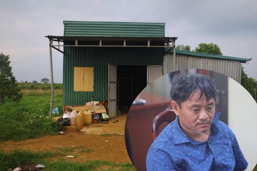 Kẻ giết cháu, đốt xác bị truy tố 4 tội