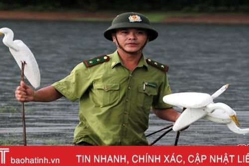 Mạnh tay xử lý nạn săn bắt chim trời ở Hà Tĩnh