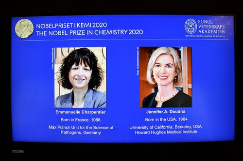 Giải Nobel Hóa học 2020 vinh danh 2 nhà khoa học người Pháp và Mỹ
