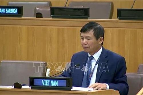 Việt Nam đề cao đối thoại, hòa giải trong giải quyết xung đột tại Congo