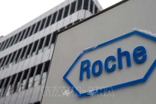Hãng Roche xin lỗi vì gây gián đoạn chương trình xét nghiệm, truy vết ở Anh