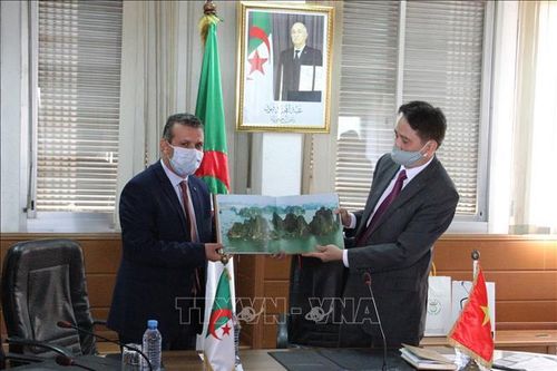 Đài truyền hình quốc gia Algeria mong muốn hợp tác với Đài truyền hình Việt Nam