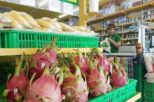 Vì sao Hưng Thắng Lợi Gia Lai 'tháo chạy' khỏi công ty bầu Đức?