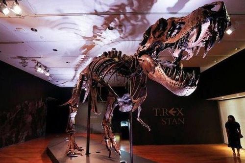 Hóa thạch khủng long bạo chúa T-Rex được bán với giá cao kỷ lục