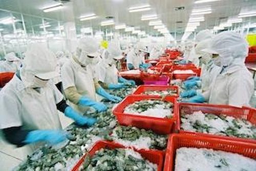 Hải quan TP.HCM tạo mọi điều kiện cho doanh nghiệp khai thác hiệu quả EVFTA