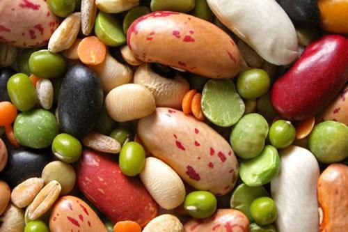 Vợ chồng hiếm muộn nên ăn gì để dễ thụ thai?
