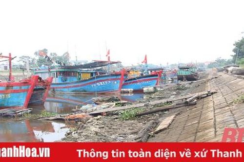 Khó khăn, bất cập tại khu neo đậu tránh trú bão cho tàu thuyền nghề cá cửa sông Lý