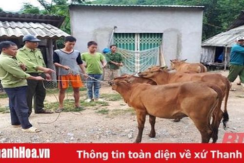 Hiệu quả hỗ trợ, đỡ đầu xã có tỷ lệ hộ nghèo cao