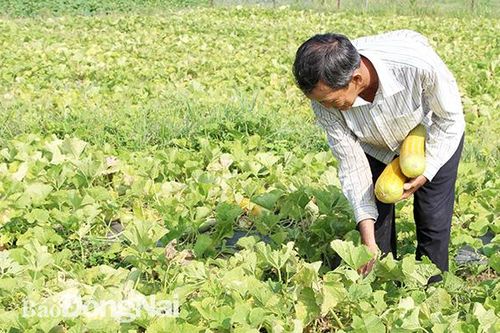 Hơn 1,8 ngàn tỷ đồng vốn huy động xây dựng nông thôn mới nâng cao