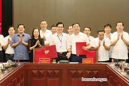 Triển khai kế hoạch phát triển vùng nguyên liệu cho Trung tâm chế biến rau quả Doveco Sơn La