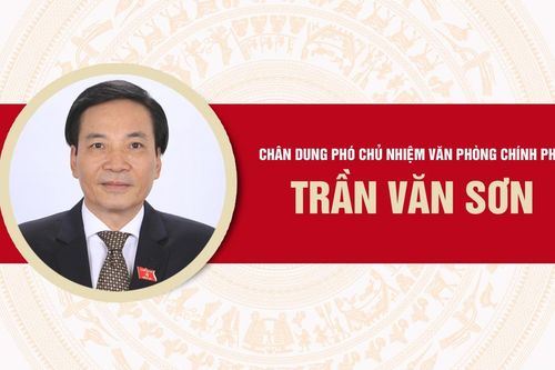 Infographic: Chân dung Phó Chủ nhiệm Văn phòng Chính phủ Trần Văn Sơn