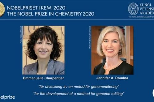 Nobel Hóa học 2020 về tay 2 nhà khoa học nữ nghiên cứu chỉnh sửa gene