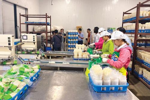 Mỹ Đức chú trọng xây dựng Đảng, hệ thống chính trị vững mạnh