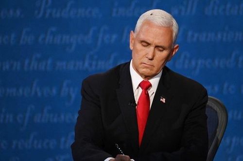 Ruồi đậu trên tóc ông Pence giữa cuộc tranh luận