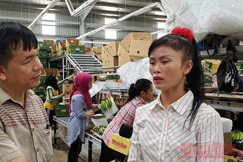 Chung tay giúp bà con gốc Việt vùng Biển Hồ chuyển đổi nghề nghiệp