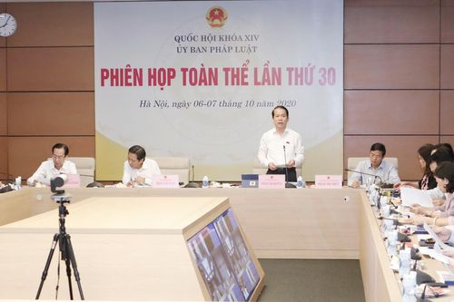 Trình Quốc hội thông qua mô hình tổ chức chính quyền đô thị tại TPHCM