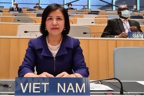 Việt Nam nhất quán chính sách bảo vệ và thúc đẩy quyền con người