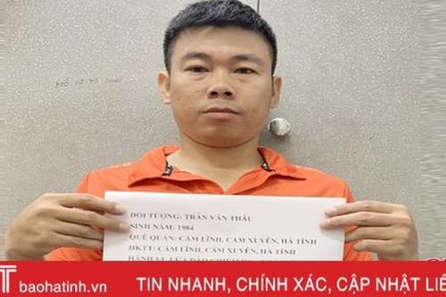 Lên mạng mua yến rưỡi thịt nai và 3kg tôm hùm rồi… 'lặn'