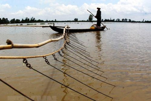 Mực nước về Đồng bằng sông Cửu Long thấp nhất trong vòng 10 năm
