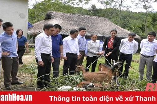 Trao dê sinh sản cho hội viên nông dân nghèo tại xã Giao An