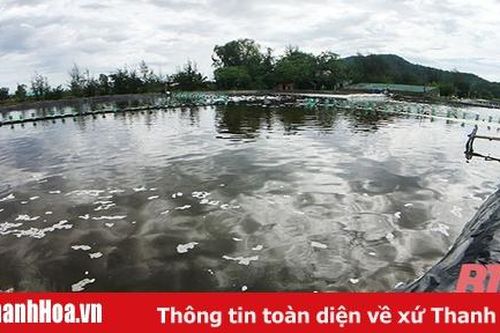 Phát triển thủy sản tập trung theo hướng công nghiệp