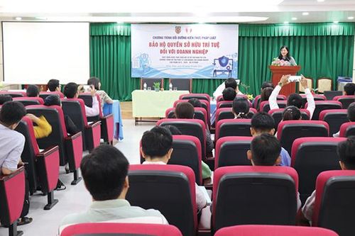 Bồi dưỡng kiến thức pháp luật về bảo hộ quyền sở hữu trí tuệ dành cho doanh nghiệp