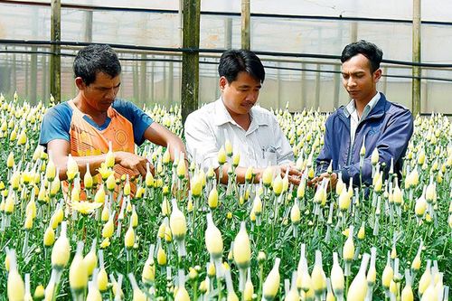 Đưa nghị quyết Đại hội Đảng vào cuộc sống: Hiện thực hóa các chỉ tiêu phát triển kinh tế-xã hội