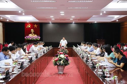 Hội nghị cho ý kiến về Chương trình kiểm tra, giám sát toàn khóa và năm 2021